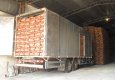 SDC12940.jpg